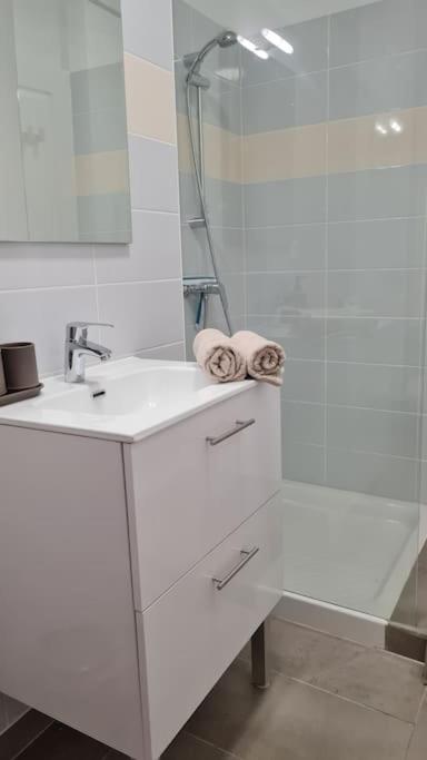Le Green Parc, Libourne Hypercentre, Netflix, Clim Daire Dış mekan fotoğraf